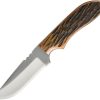 Reliable Quality Azjwk3Ajb Anza Fixed Blade Knife Amber Bone | * Wholesale