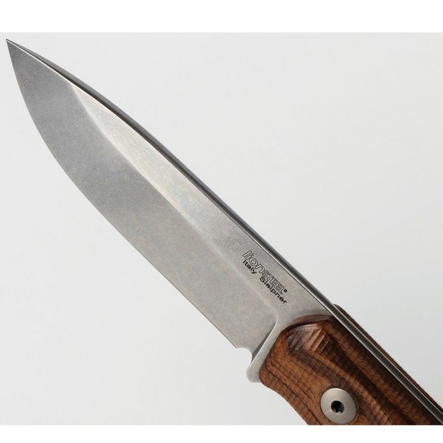 Quick Delivery Lstb41St Lionsteel B41 Bushcraft Knife Santos Wood | * Best